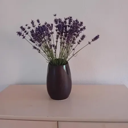 Apartma Sivka *